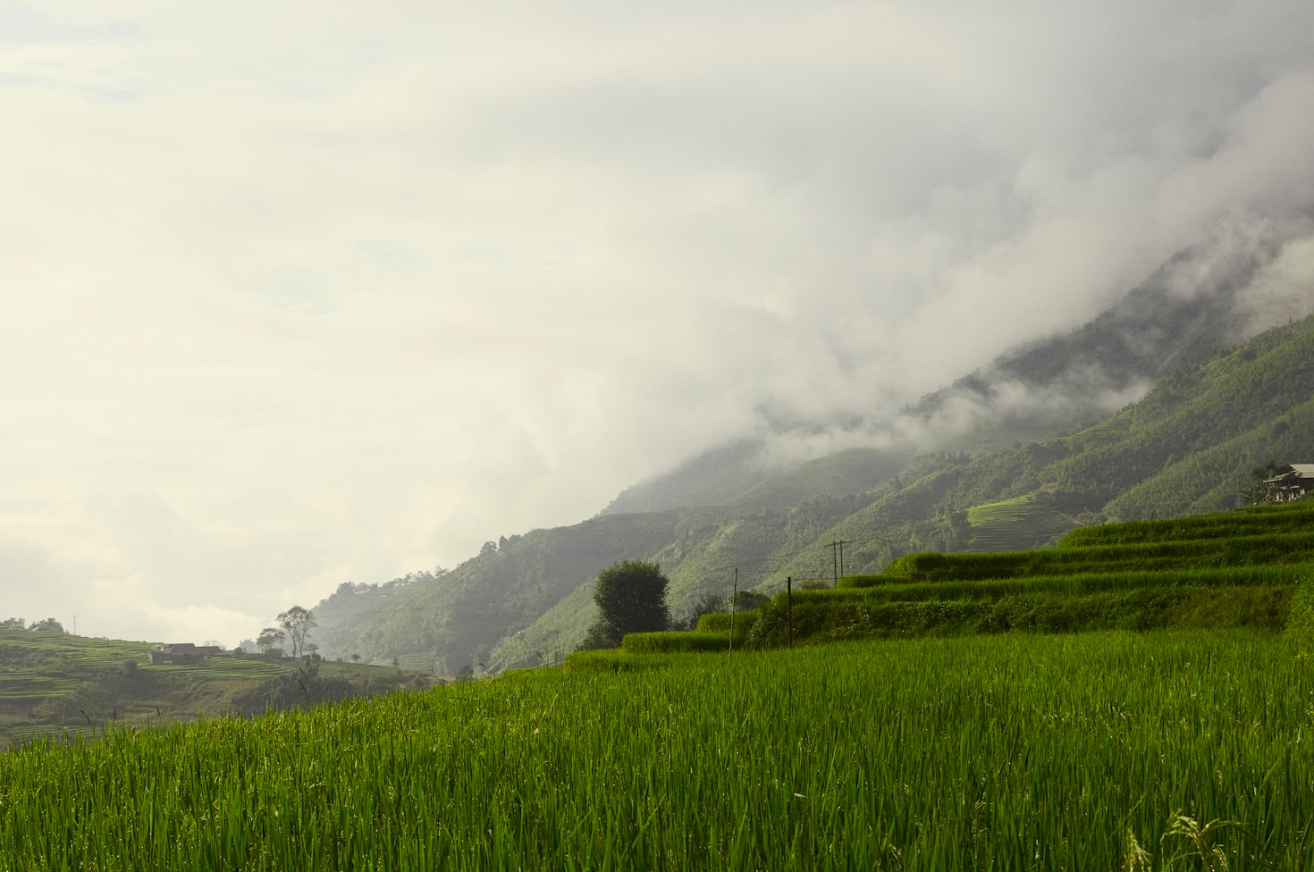 Ten Benefits of Supporting Zero-Waste Farms